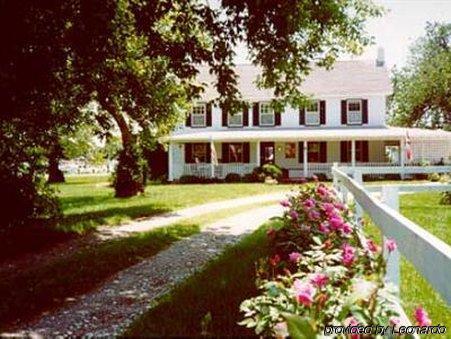 Lazyjack Inn On Dogwood Harbor Tilghman Island Kültér fotó